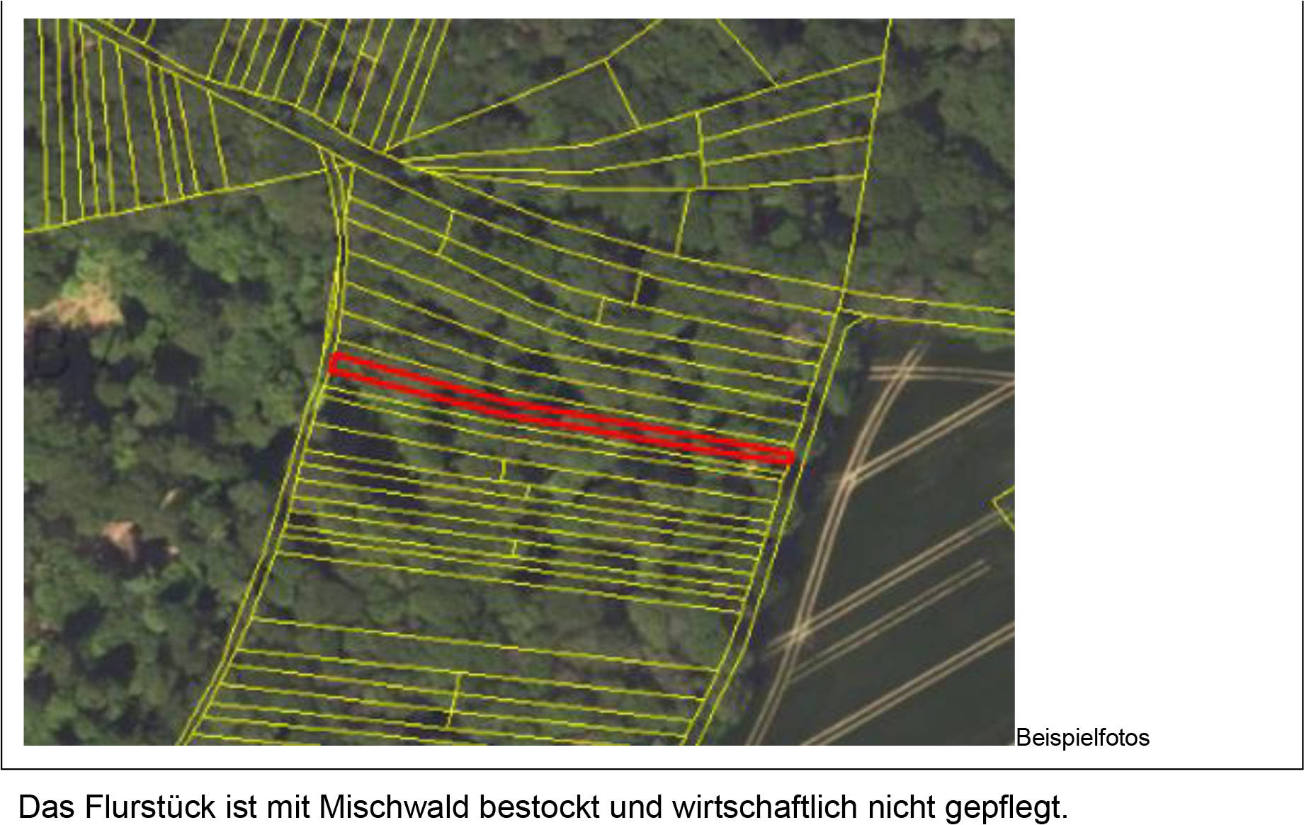 land- und forstwirtschaftlich genutztes Grundstück in In der Willeiche, Eicholz, An der Obern Lenn, , 97834 Birkenfeld +  97842 Karbach