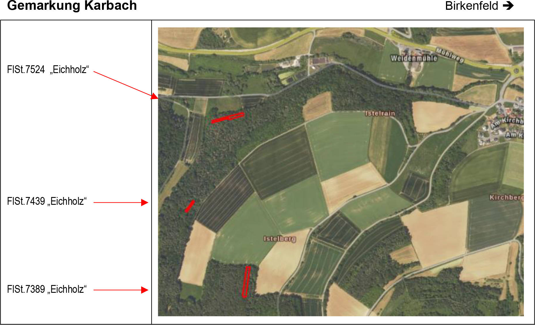 land- und forstwirtschaftlich genutztes Grundstück in In der Willeiche, Eicholz, An der Obern Lenn, , 97834 Birkenfeld +  97842 Karbach - Bild 4