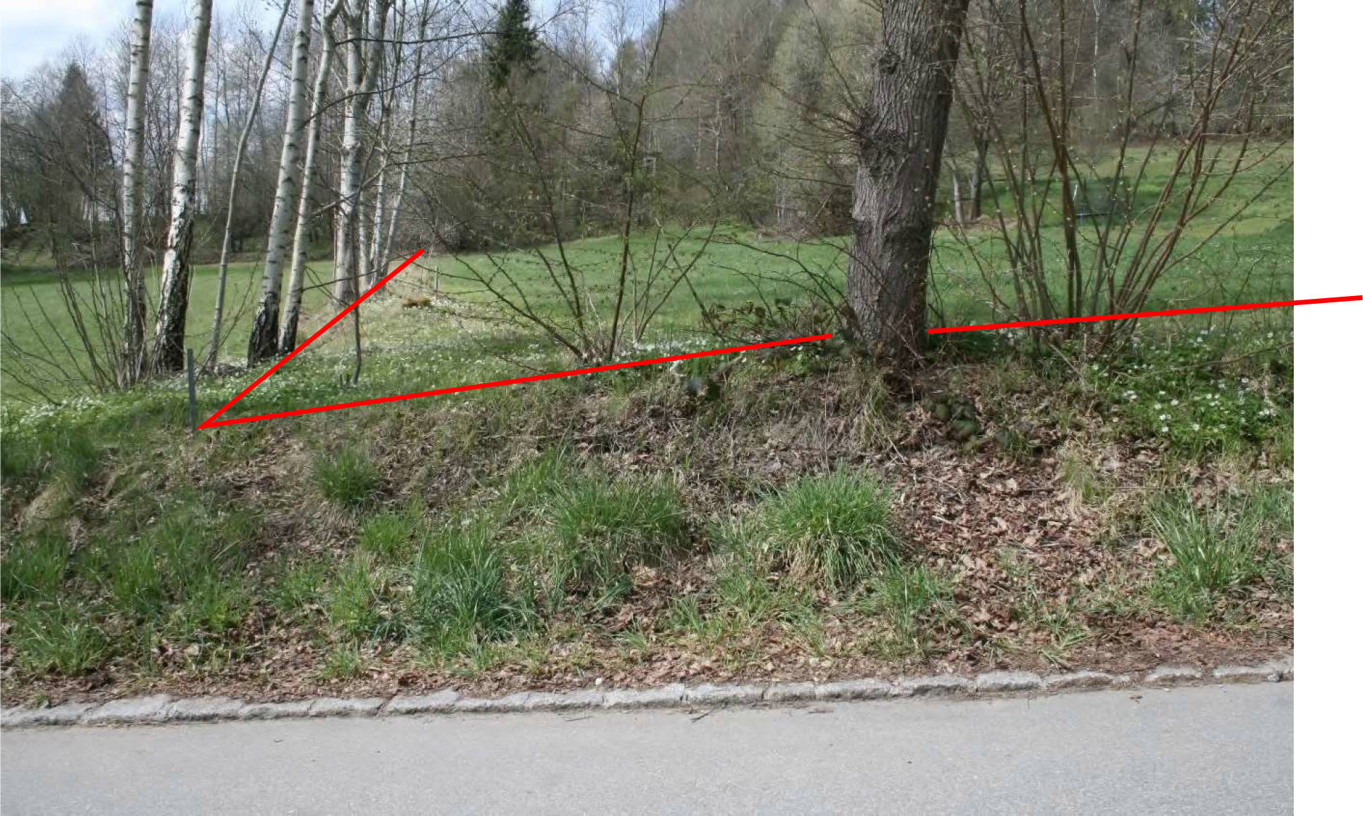 bayern 0002 K 0025/2025 Nähe Grünbichl, 94261 Kirchberg i. Wald 6