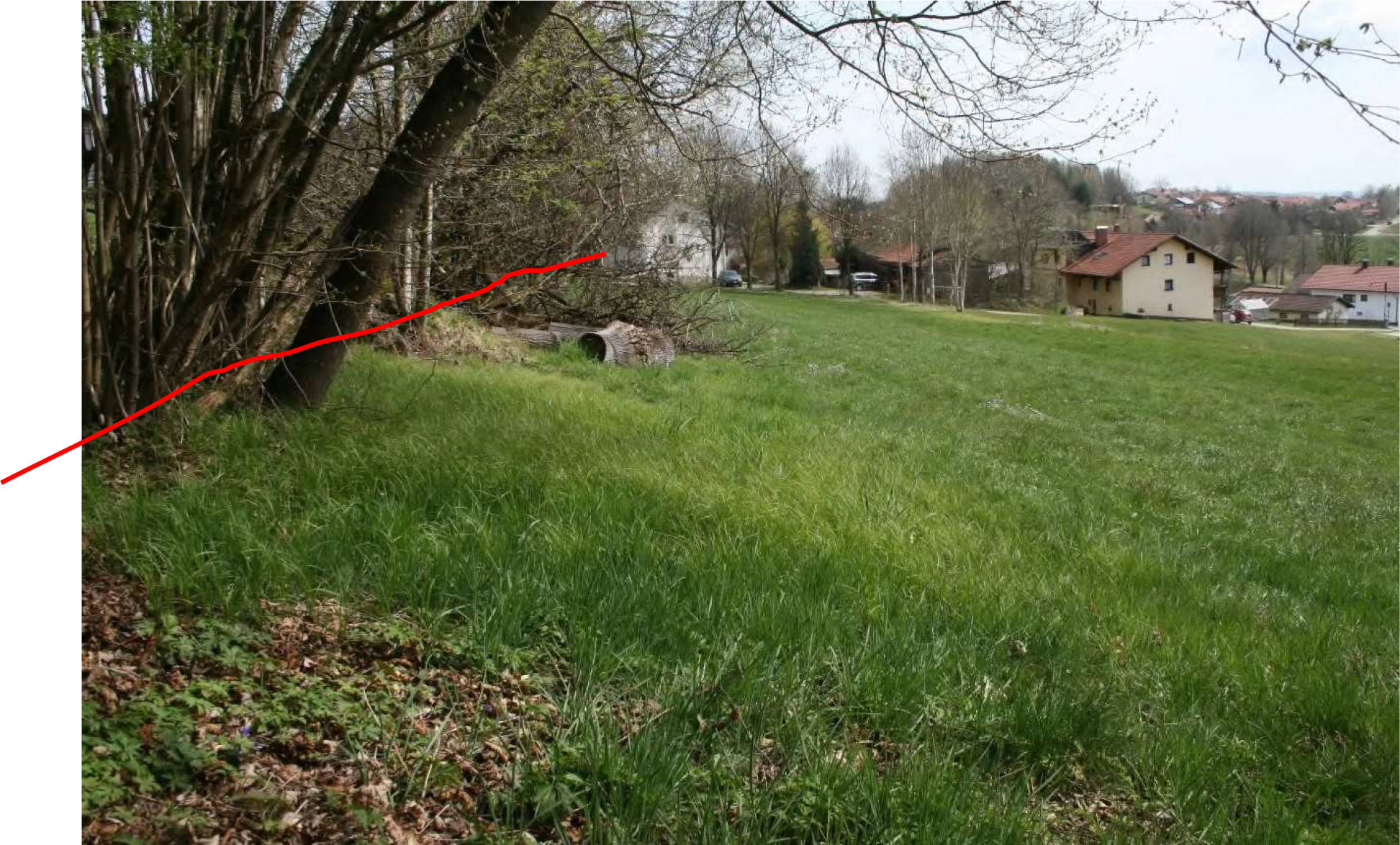 landwirtschaftliches Grundstück in Nähe Grünbichl, 94261 Kirchberg i. Wald - Bild 2