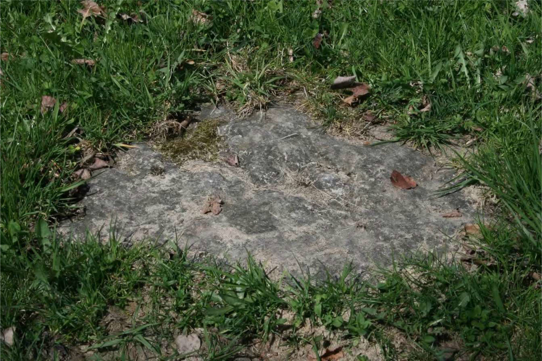 bayern 0002 K 0025/2025 Nähe Grünbichl, 94261 Kirchberg i. Wald 8