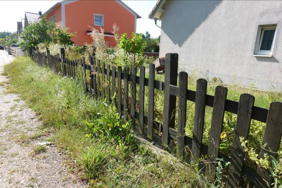 bayern 0002 K 0026/2024 Forststraße 25, 92439 Bodenwöhr 7