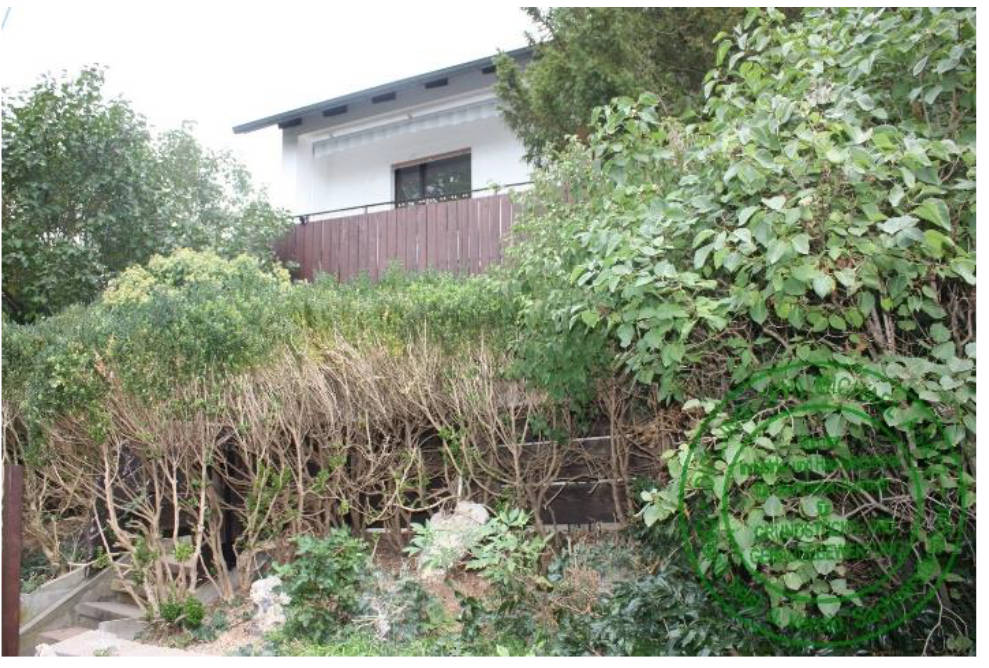 bayern 0002K0029-2023 Gartenstraße  4, 96199 Zapfendorf 12