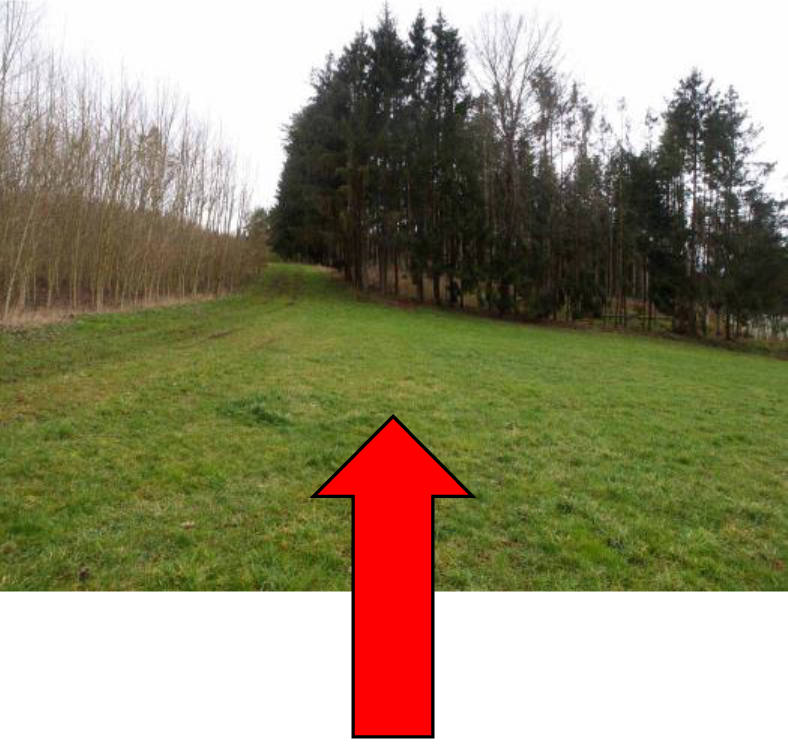 land- und forstwirtschaftlich genutztes Grundstück in In den Halten --, 91626 Schopfloch, Dickersbronn - Bild 2