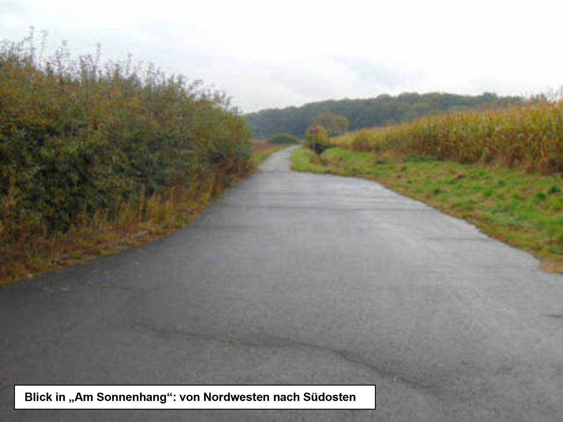 Einfamilienhaus in Geiersbergstraße 19, 97222 Rimpar, Gramschatz - Bild 4