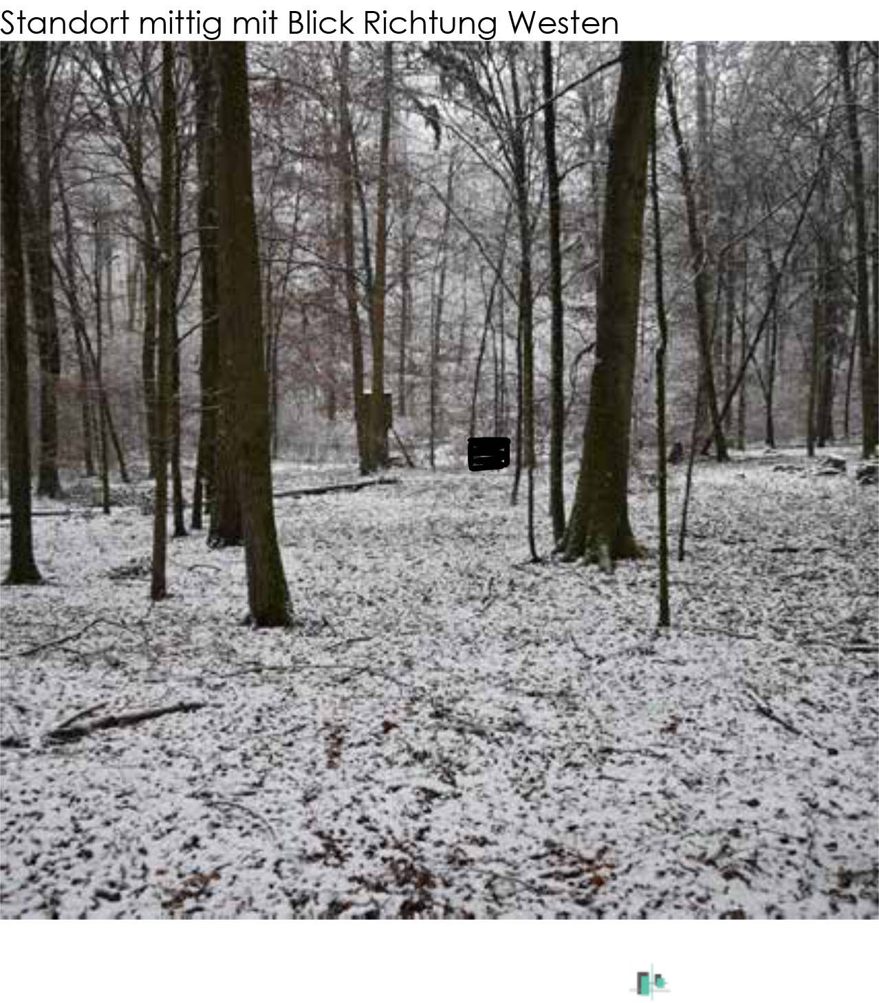Waldfläche in Steinerloch, 97280 Remlingen - Bild 4