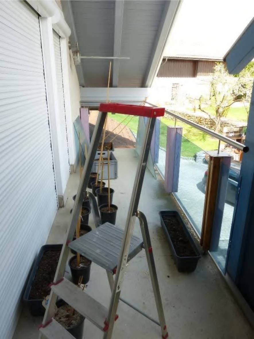 bayern 0002 K 0050/2024 Marienbergstr. 13a, 94261 Kirchdorf i. Wald 8