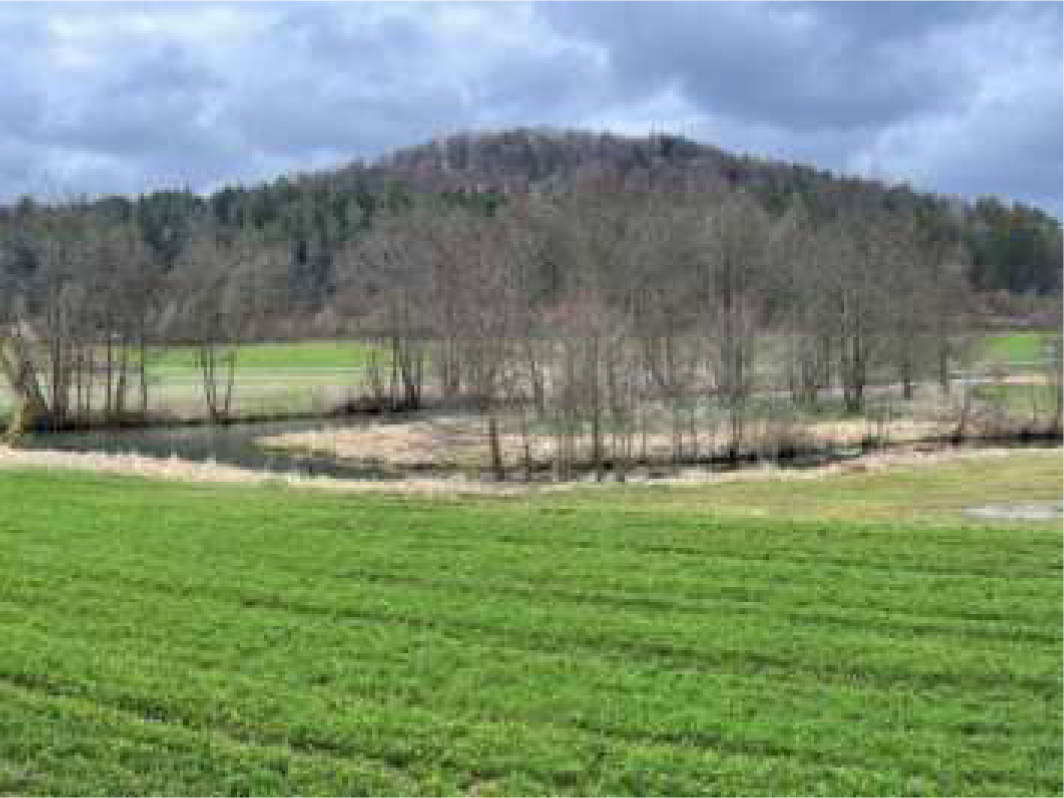 bayern 0002K0052-2022 Hausener Bach, 92277 Hohenburg