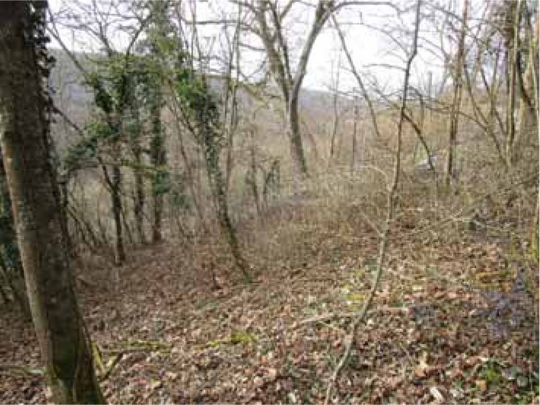 Unbebaute Landwirtschaftsfläche (Biotop) in Nähe Mittlerer Steinbachweg, 97082 Würzburg - Bild 4