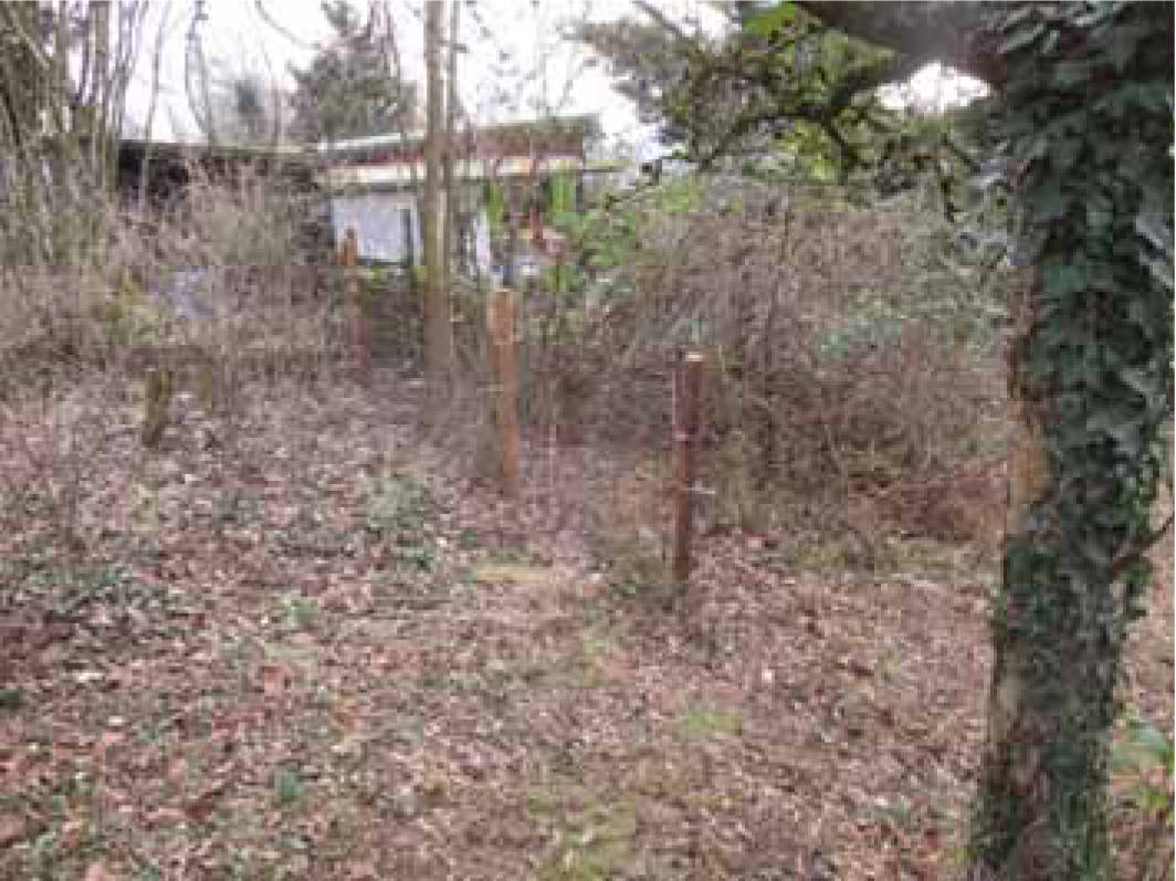 Unbebaute Landwirtschaftsfläche (Biotop) in Nähe Mittlerer Steinbachweg, 97082 Würzburg - Bild 5