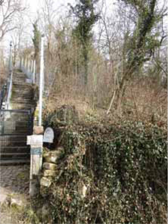 Unbebaute Landwirtschaftsfläche (Biotop) in Nähe Mittlerer Steinbachweg, 97082 Würzburg