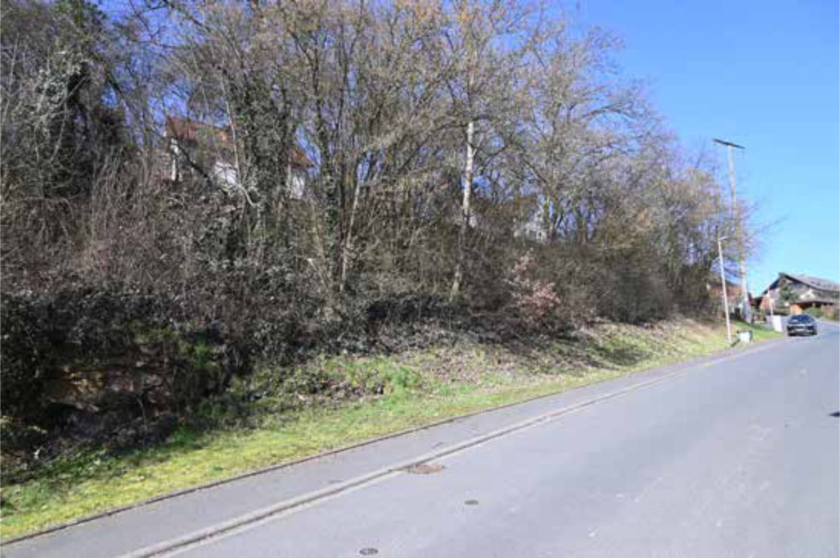 Unbebautes Flurstück in Nähe Rödernweg, 97775 Burgsinn - Bild 2
