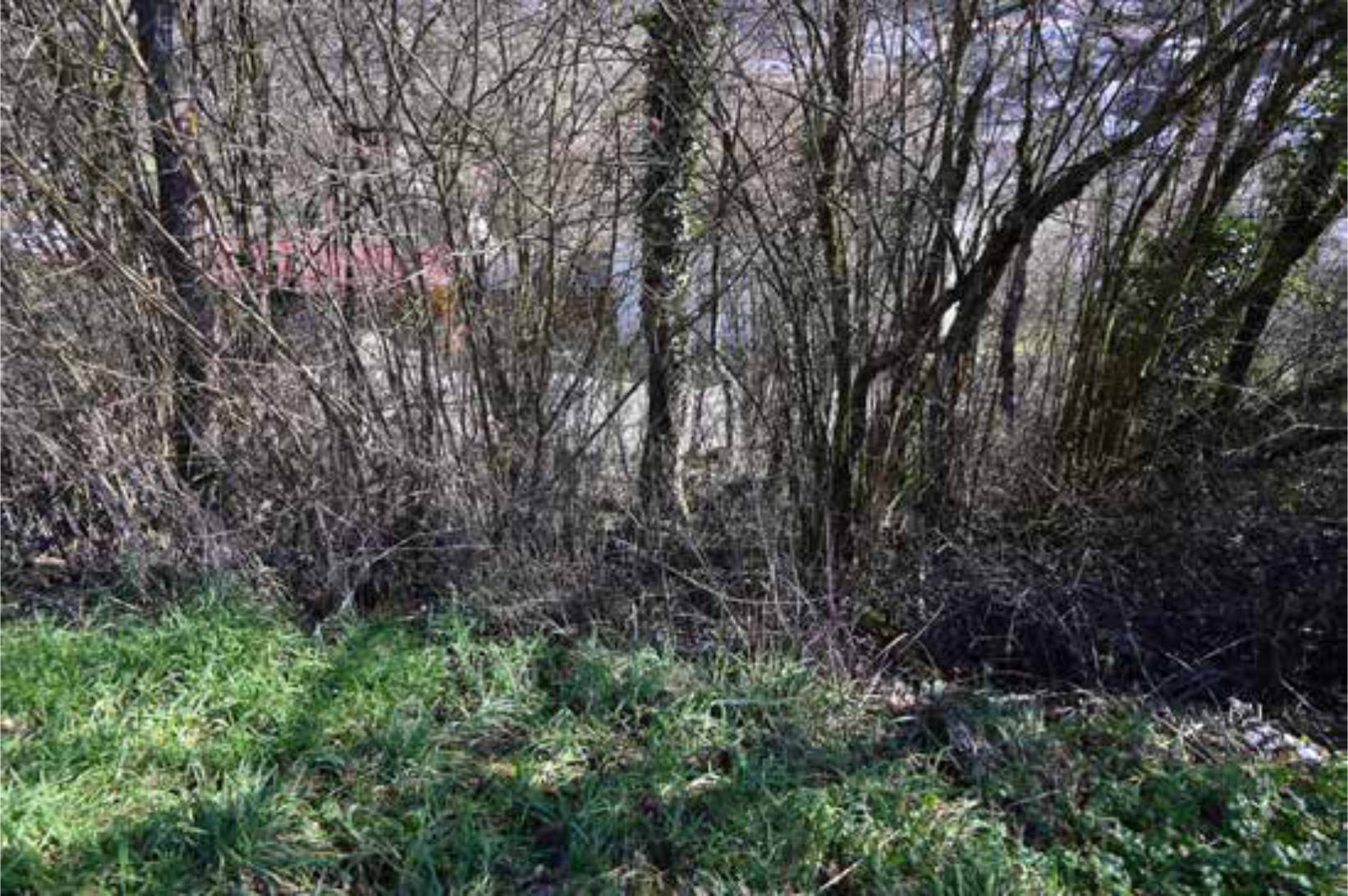 Unbebautes Flurstück in Nähe Rödernweg, 97775 Burgsinn - Bild 4