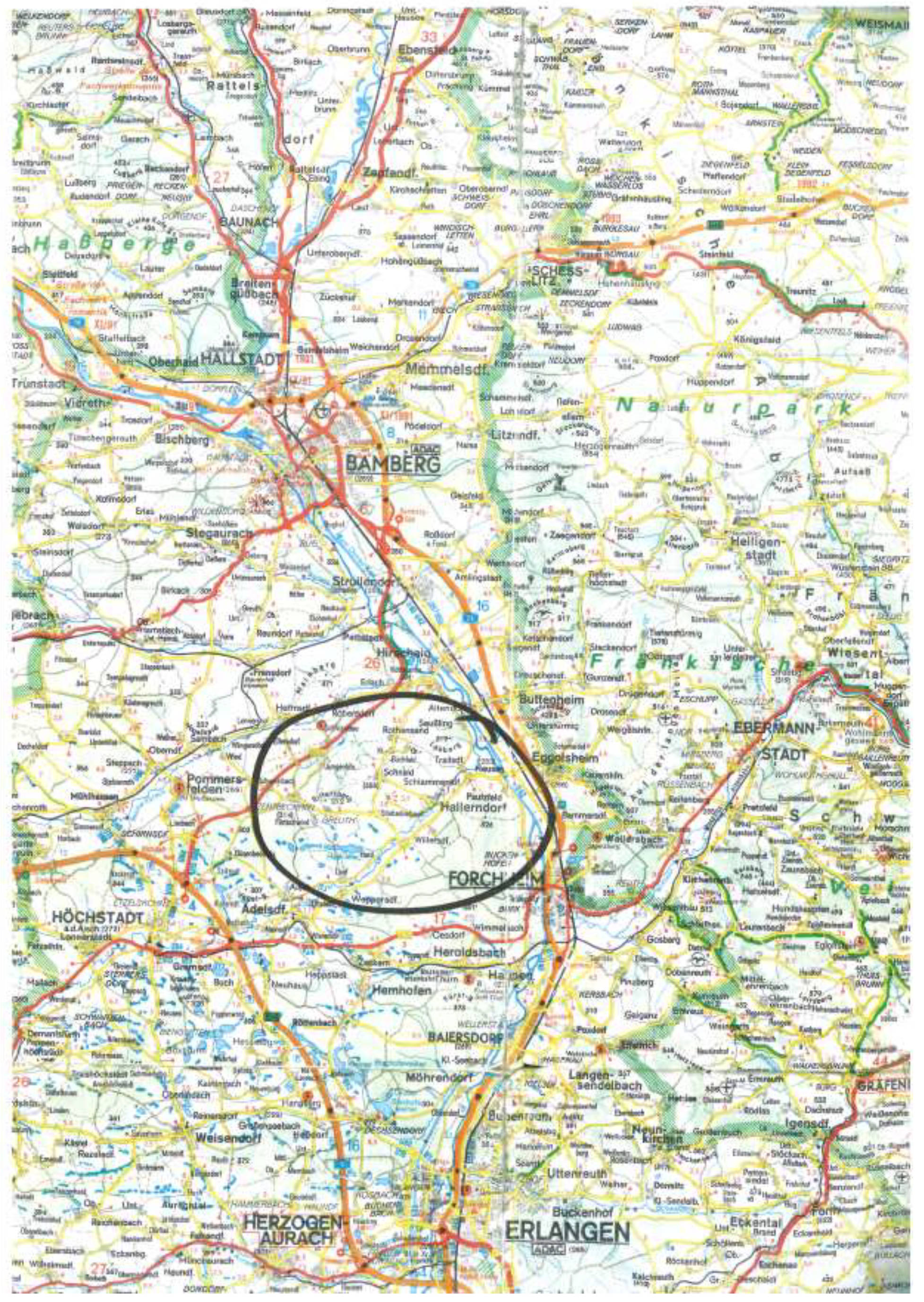 Mischwald in Zehnthölzer, 00000 Rothensand u.a. - Bild 2