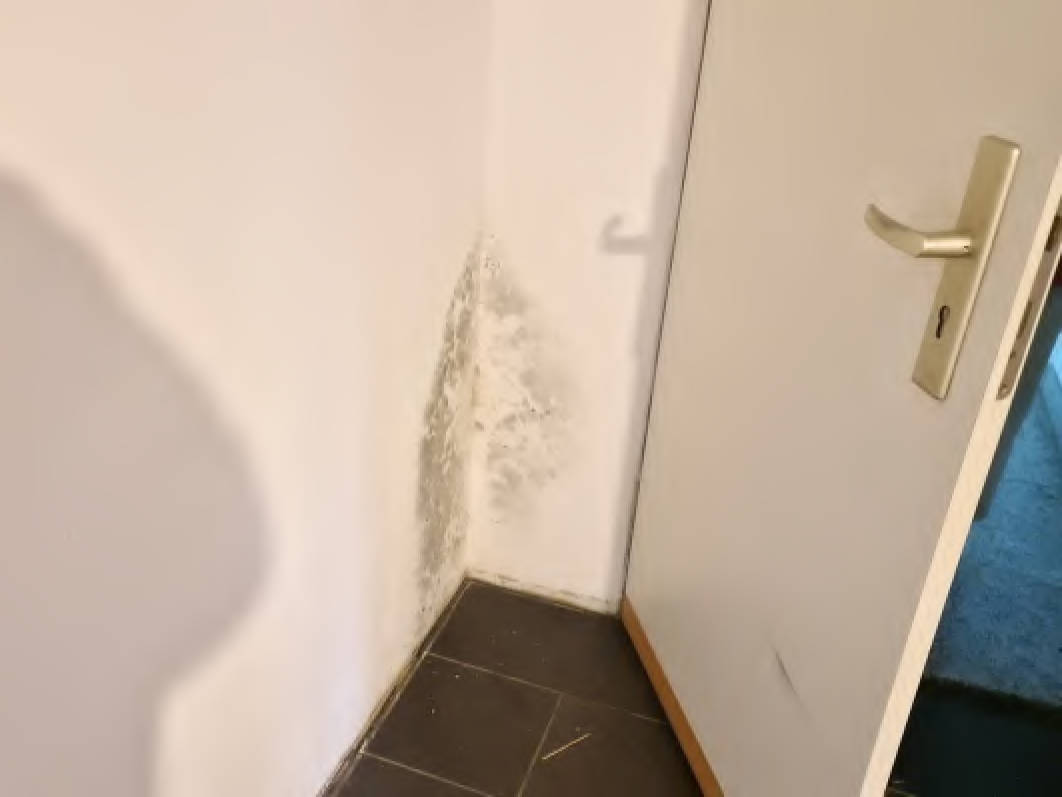 bayern 0003 K 0013/2025 Hauptstraße 29, 84144 Geisenhausen 13