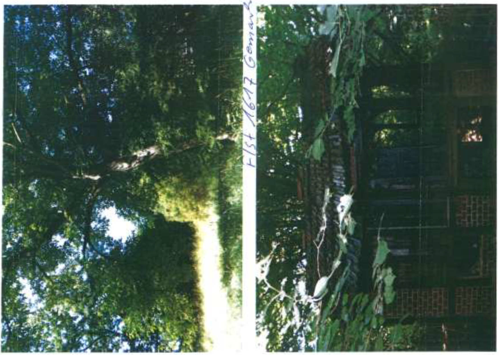 siehe Beschreibung in Mühlbach, 96476 Bad Rodach