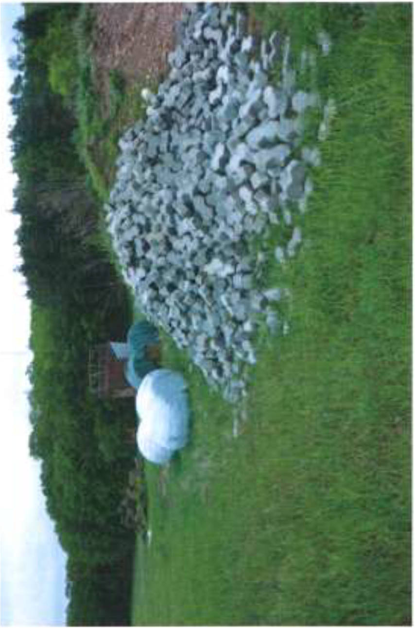 Landwirtschafts- und Waldflächen in Rossgasse u.a., 00000 Meedensdorf - Bild 4