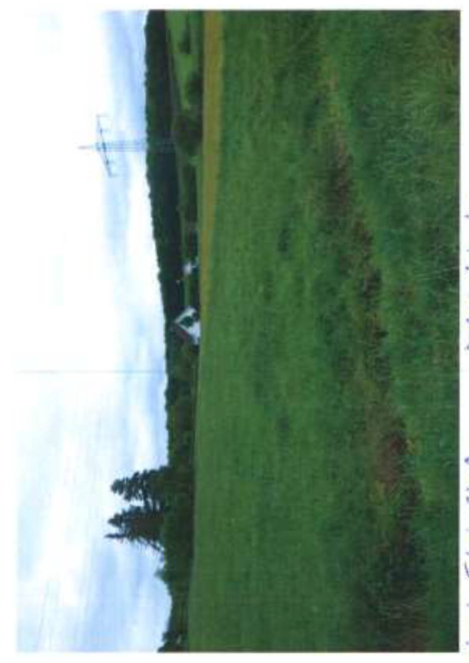 bayern 0003K0029-2024 Rossgasse u.a., 00000 Meedensdorf 7