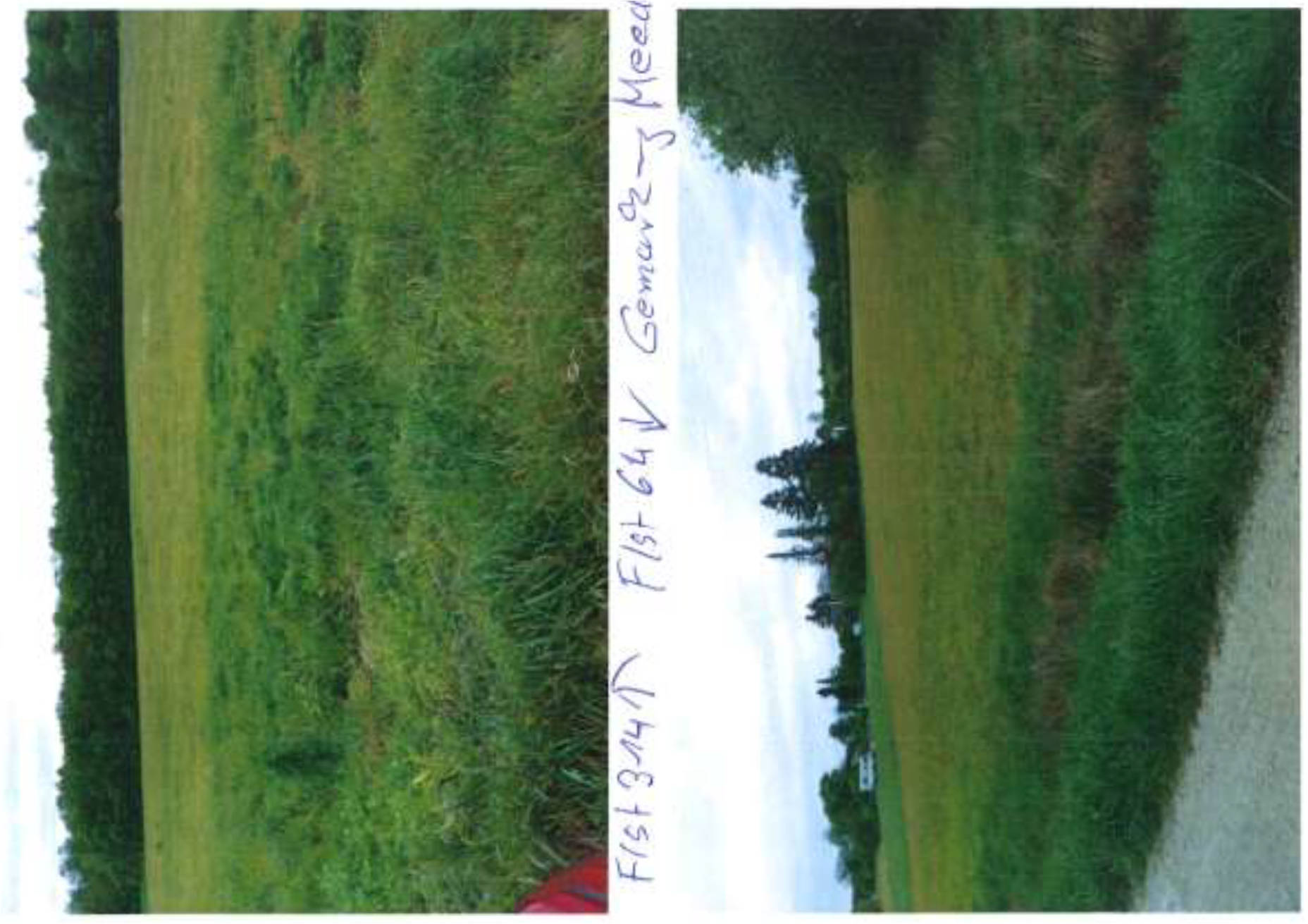 bayern 0003K0029-2024 Rossgasse u.a., 00000 Meedensdorf 11