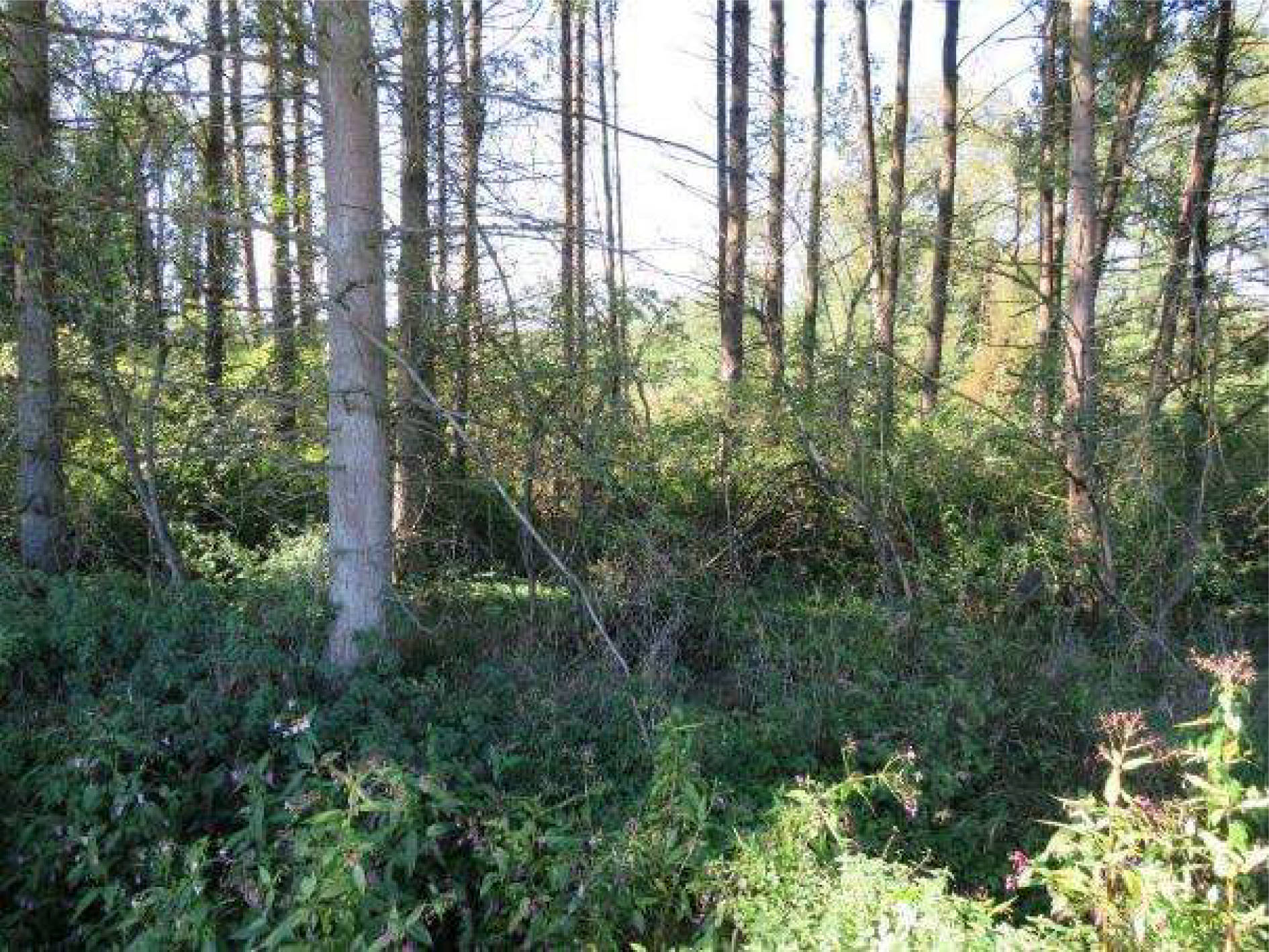 bayern 0003 K 0034/2023 Hinterm Bach, 00000 Strullendorf 8