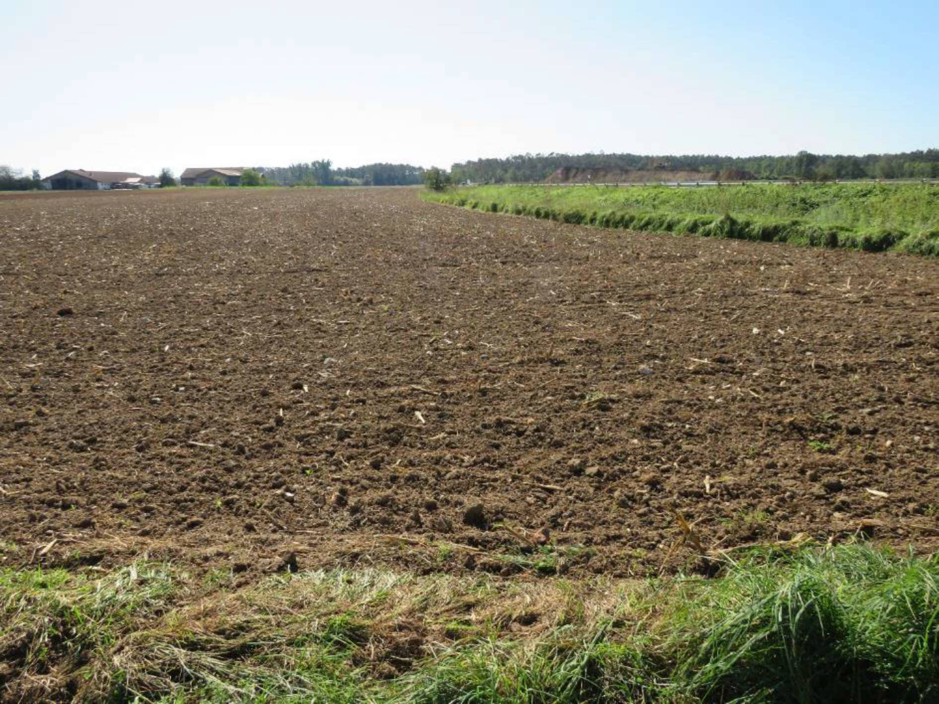 bayern 0003K0034-2023 Hinterm Busch, 00000 Strullendorf
