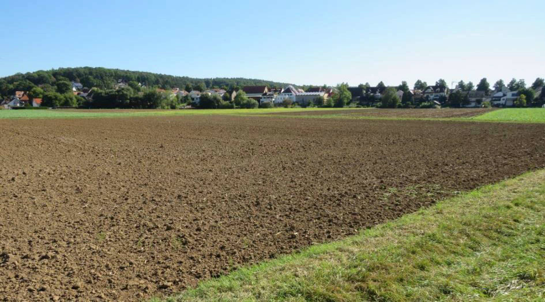 land- und forstwirtschaftlich genutztes Grundstück, unbebautes Grundstück in Hinterm Bach, 00000 Strullendorf - Bild 3