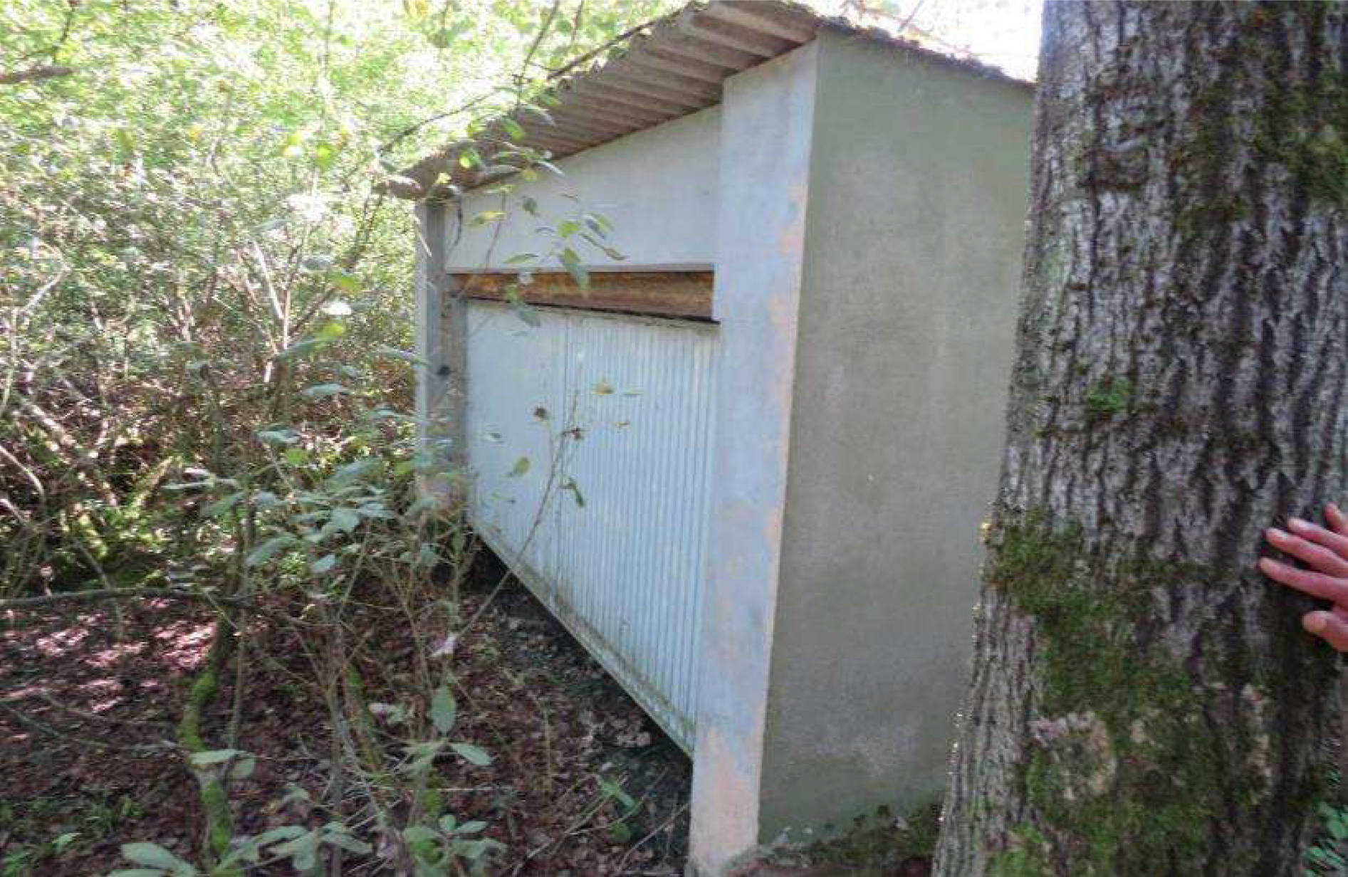 land- und forstwirtschaftlich genutztes Grundstück, unbebautes Grundstück in Hinterm Bach, 00000 Strullendorf - Bild 2