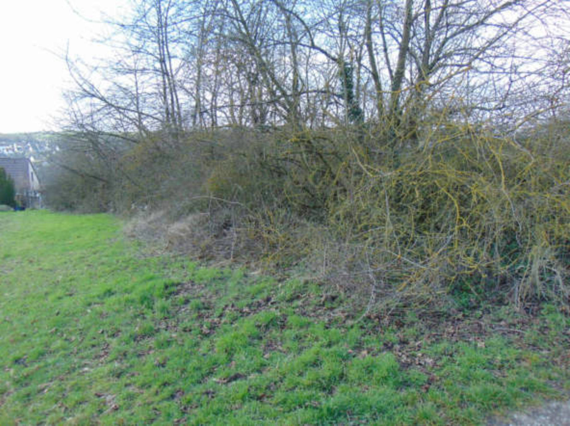 land- und forstwirtschaftlich genutztes Grundstück in Nähe Vierwindenweg, 97078 Würzburg, Versbach - Bild 2