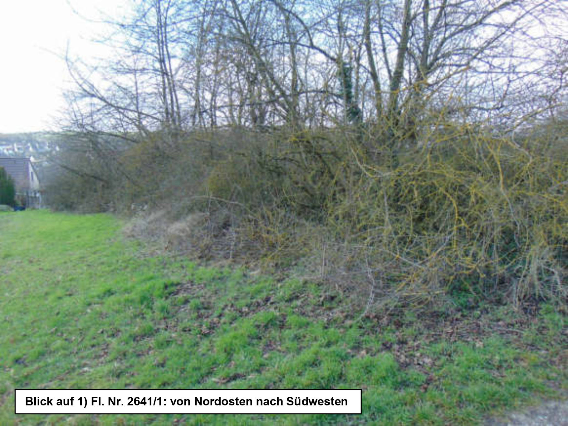 land- und forstwirtschaftlich genutztes Grundstück in Nähe Vierwindenweg, 97078 Würzburg, Versbach - Bild 5