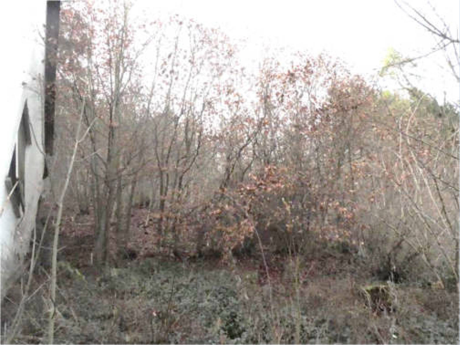 bayern 0003 K 0052/2023 Ernst-Dreefs-Straße 30, 96364 Marktrodach, Unterrodach 12