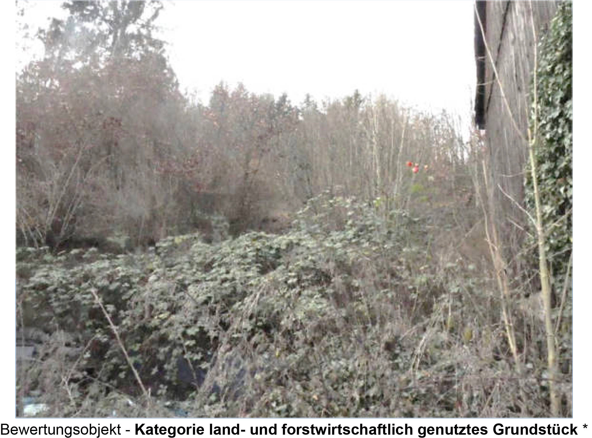 bayern 0003 K 0052/2023 Ernst-Dreefs-Straße 30, 96364 Marktrodach, Unterrodach 11