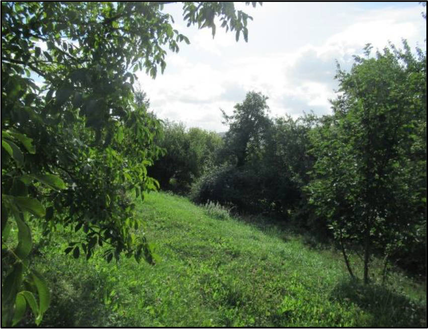 bayern 0003 K 0060/2024 Adam-Riese-Straße 1a, 00000 Ebern 16