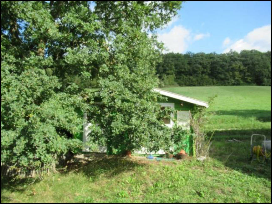 bayern 0003 K 0060/2024 Adam-Riese-Straße 1a, 00000 Ebern 7