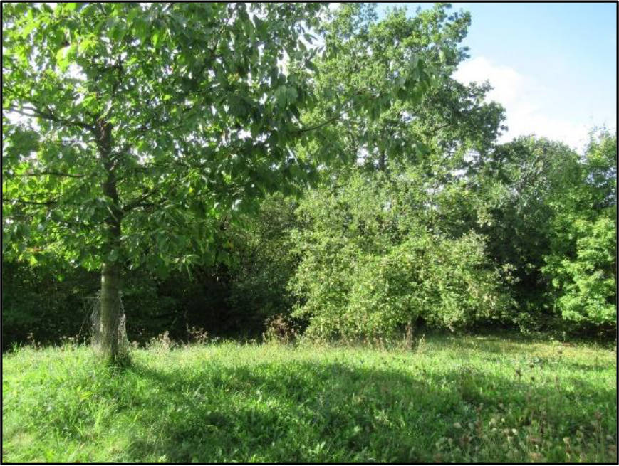 bayern 0003 K 0060/2024 Adam-Riese-Straße 1a, 00000 Ebern 14