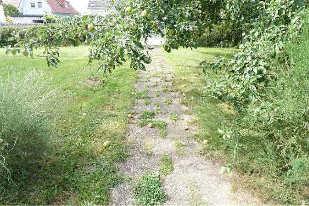 bayern 0003K0068-2023 Neubrand 13, 96277 Mitwitz-Schneckenlohe, Neubrand