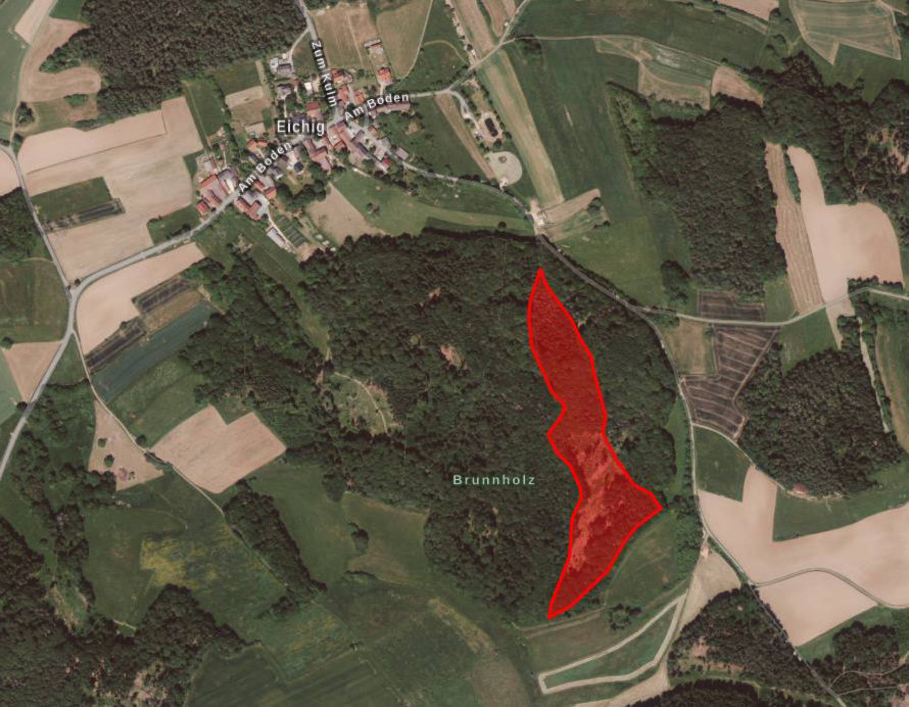 land- und forstwirtschaftlich genutztes Grundstück in Forst, 96215 Lichtenfels, Köttel - Bild 2