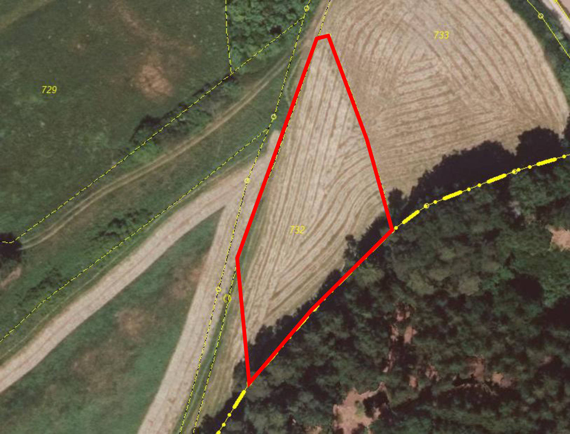 land- und forstwirtschaftlich genutztes Grundstück in Forst, 96215 Lichtenfels, Köttel - Bild 4