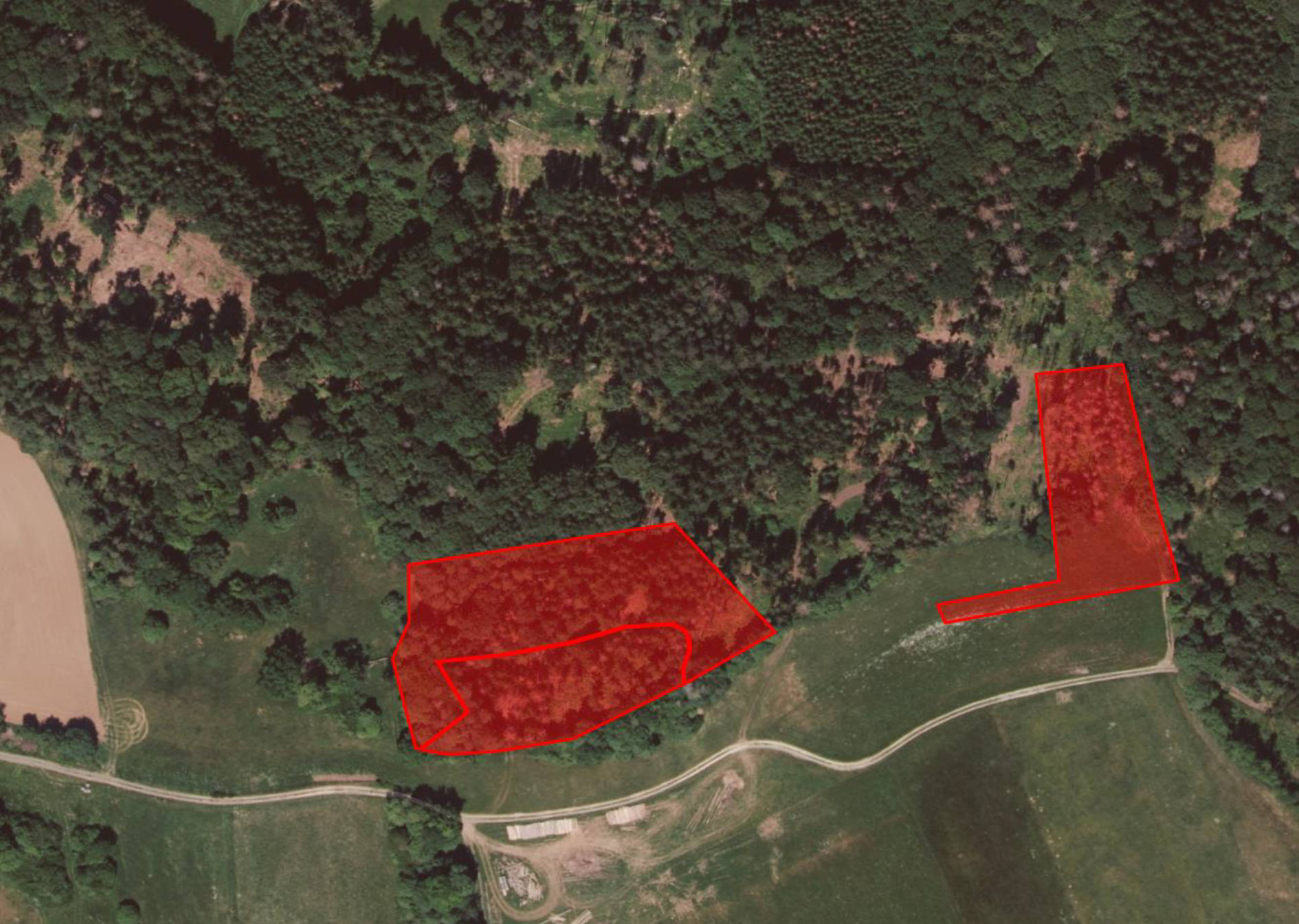 land- und forstwirtschaftlich genutztes Grundstück, s. Beschreibung in Teich u. Weismainer Weg, 96215 Lichtenfels, Köttel - Bild 2