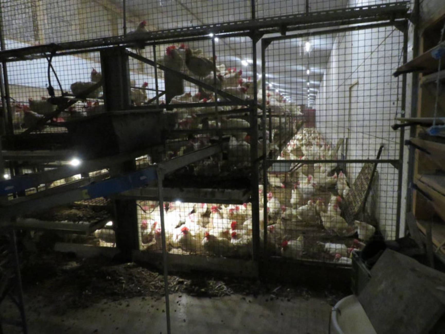 bayern 0003 K 0082/2024 Föhrig, 96215 Lichtenfels, Köttel 11