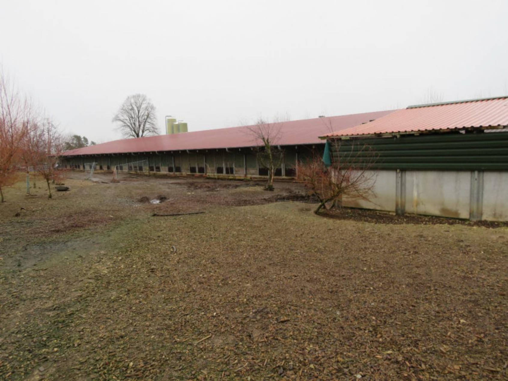 bayern 0003 K 0082/2024 Föhrig, 96215 Lichtenfels, Köttel 6