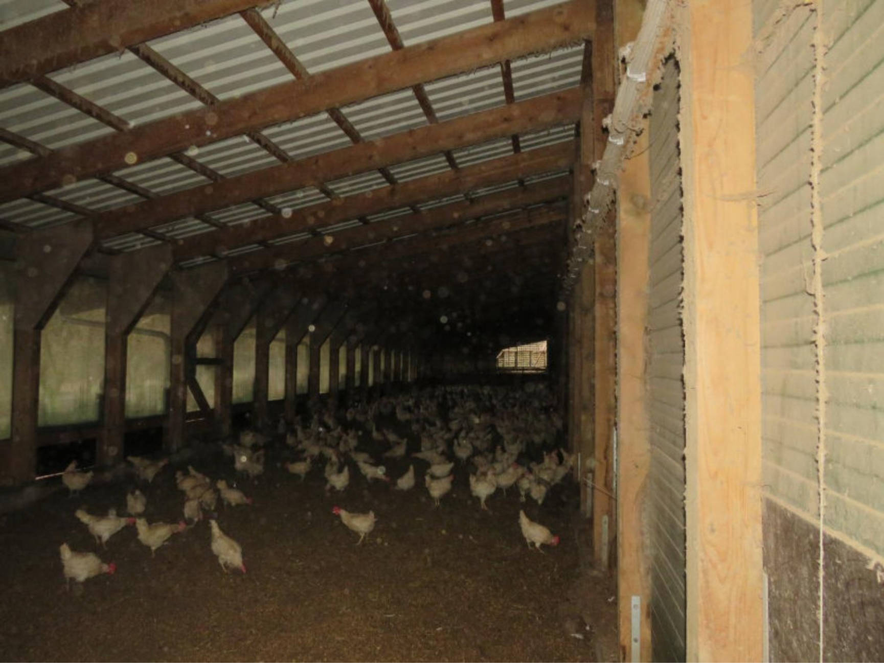 bayern 0003 K 0082/2024 Föhrig, 96215 Lichtenfels, Köttel 9