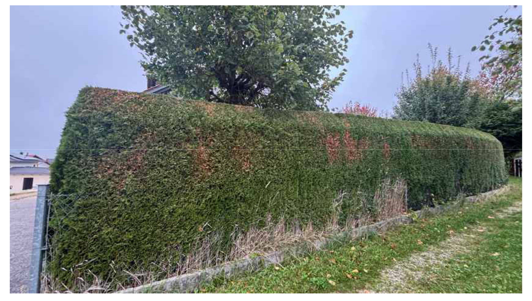 Zweifamilienhaus, Garage in Further Weg 27, 84056 Rottenburg an der Laaber - Bild 5