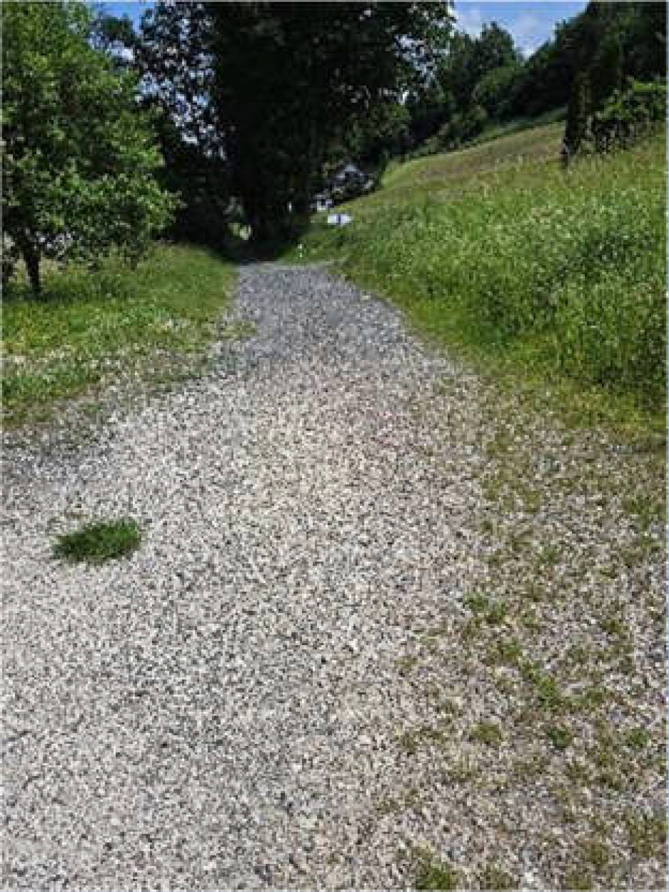 bayern 0003 K 0120/2024 Tannenstraße 26, 96317 Kronach, Gehülz u. Seelach 7