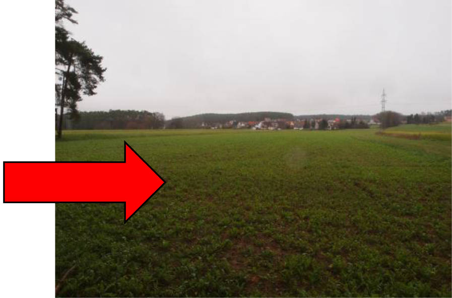 land- und forstwirtschaftlich genutztes Grundstück in In der Röte, 91154 Roth, Ottersdorf