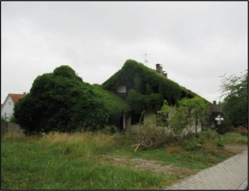 bayern 0003K0151-2022 Bucher Straße 6, 90559 Burgthann, Ezelsdorf 6