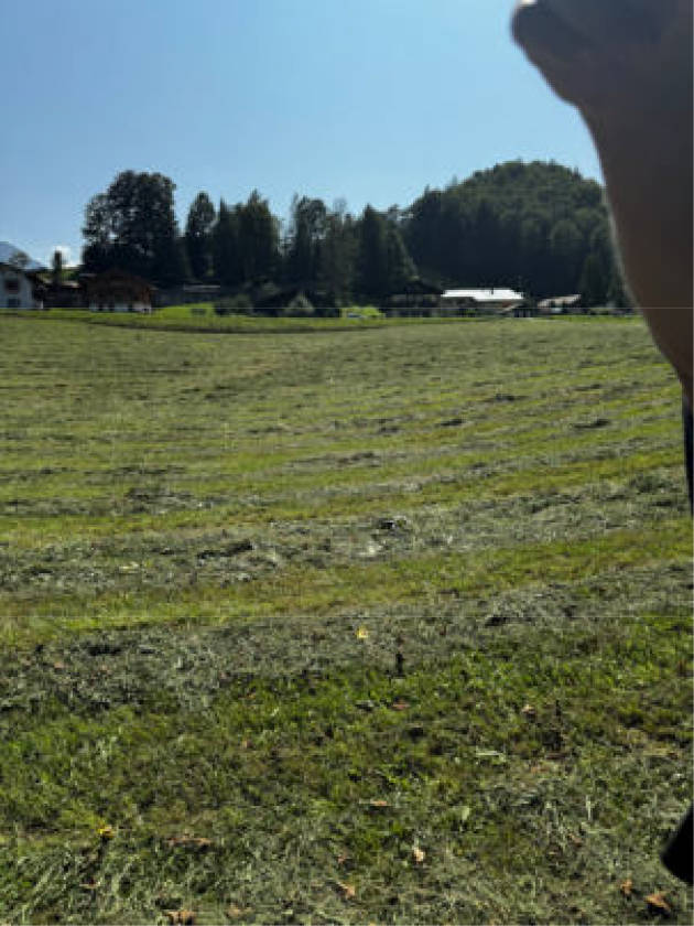 Wald-, Landwirtschafts-, Verkehrsfläche in Nähe Locksteinstraße, 83471 Berchtesgaden - Bild 2