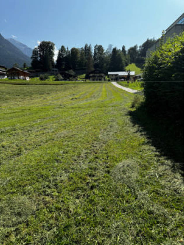 bayern 0004 K 0011/2024 Nähe Locksteinstraße, 83471 Berchtesgaden 7