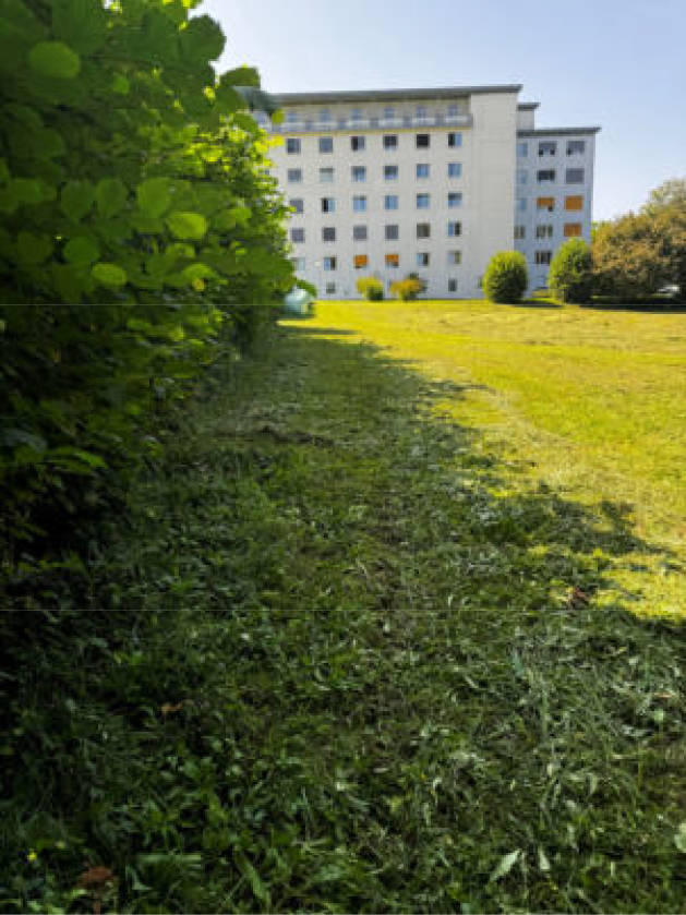 Wald-, Landwirtschafts-, Verkehrsfläche in Nähe Locksteinstraße, 83471 Berchtesgaden - Bild 4