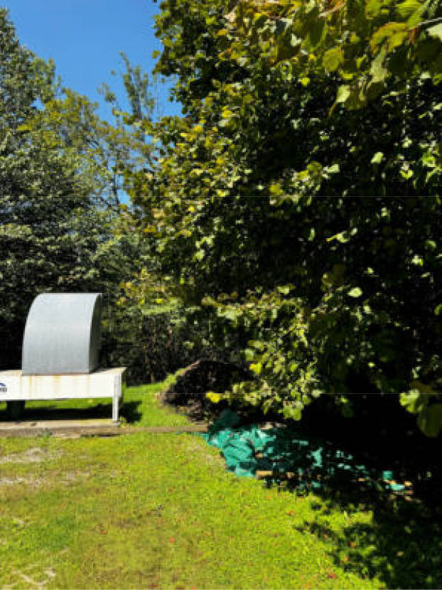 Wald-, Landwirtschafts-, Verkehrsfläche in Nähe Locksteinstraße, 83471 Berchtesgaden