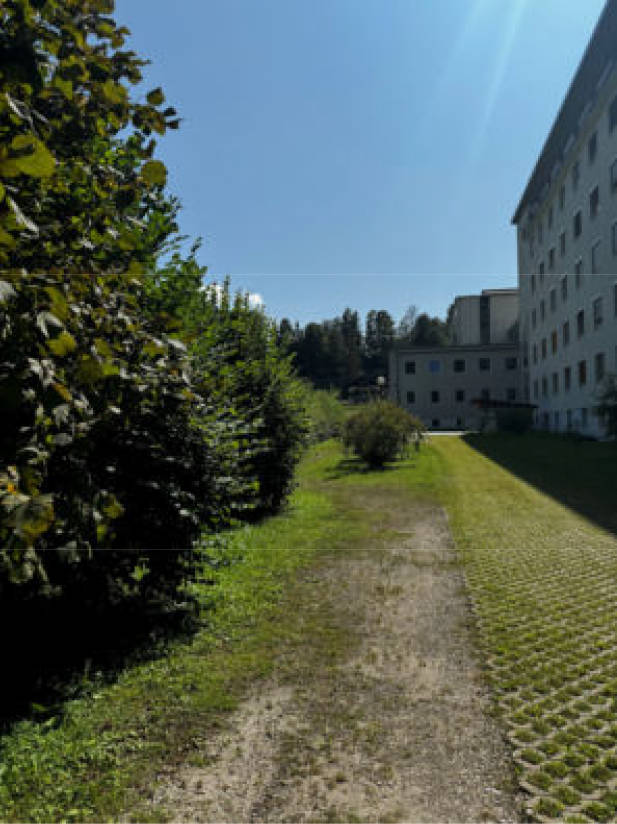 Wald-, Landwirtschafts-, Verkehrsfläche in Nähe Locksteinstraße, 83471 Berchtesgaden - Bild 3